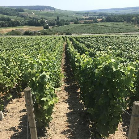Appartamento Le Secret De Louise Épernay Esterno foto
