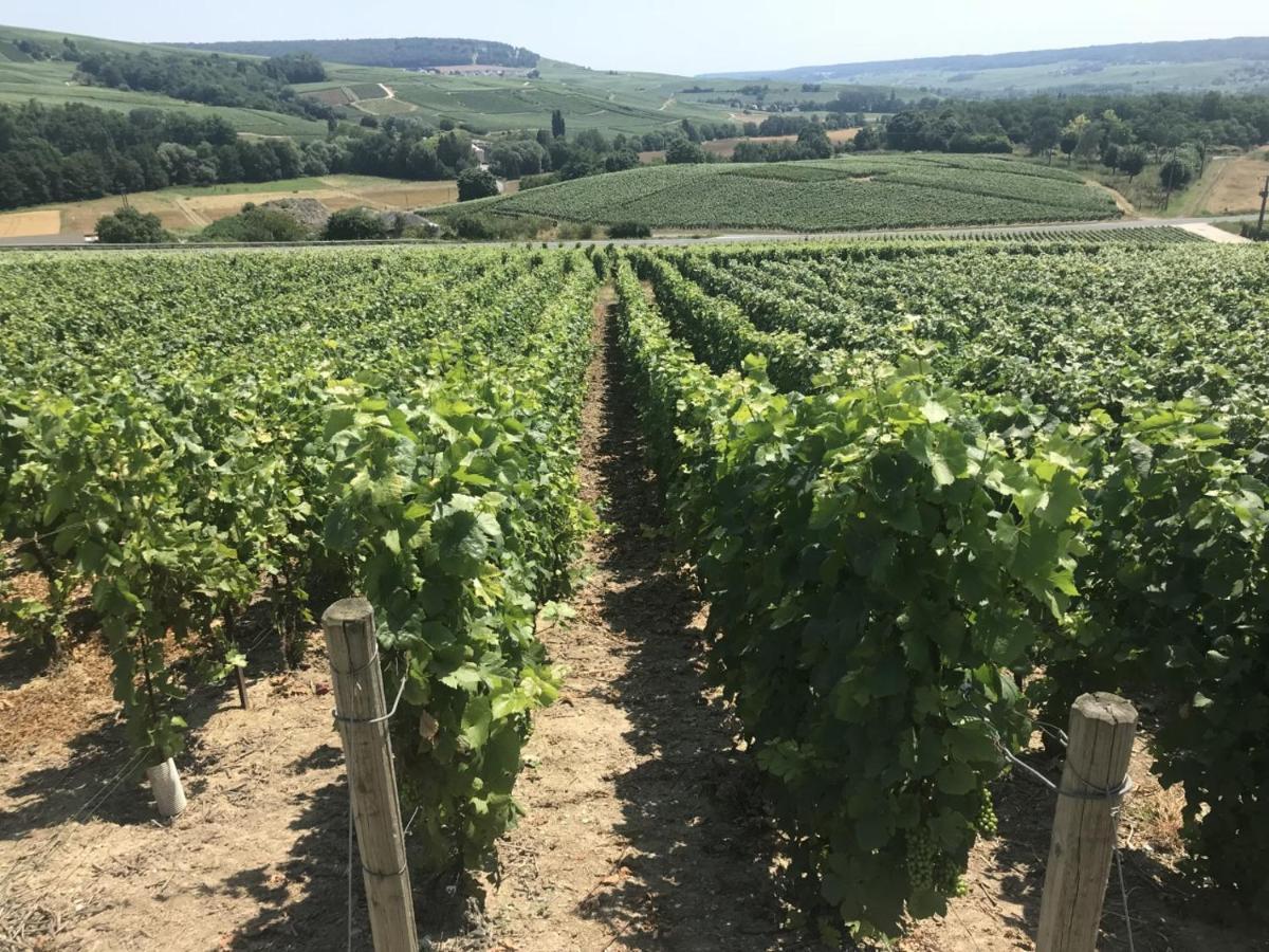 Appartamento Le Secret De Louise Épernay Esterno foto